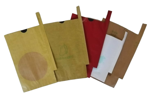Mango protection bags for optimal fruit preservation