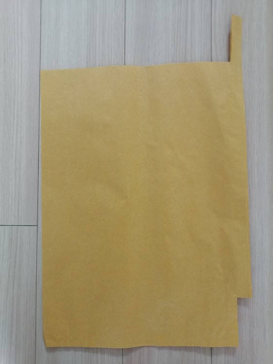 Grape protection bags for optimal fruit growth and quality